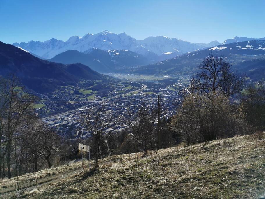 Super Appartement Cocooning Vu Mont Blanc Sallanches Esterno foto