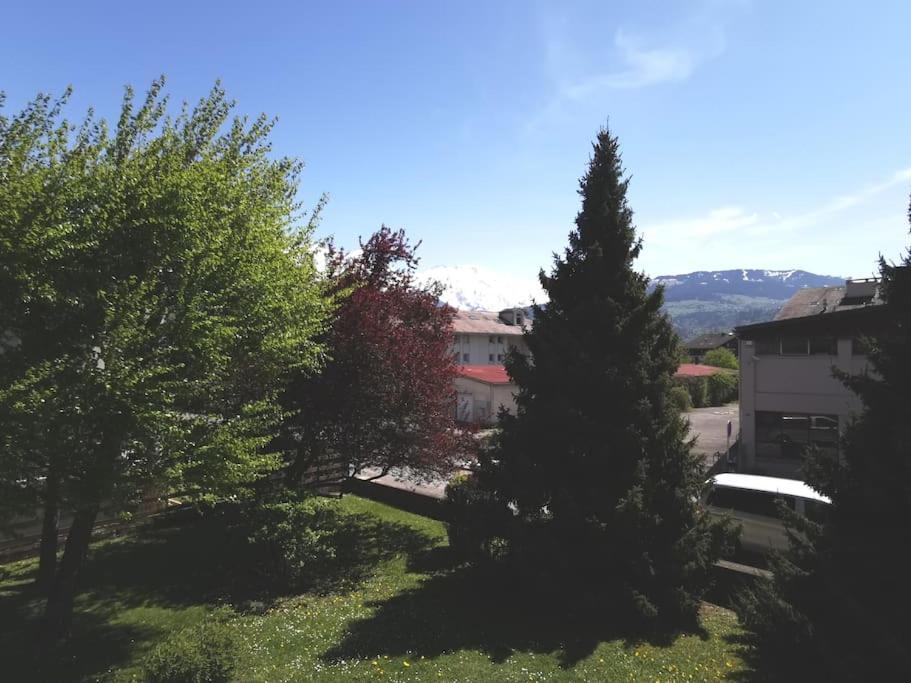 Super Appartement Cocooning Vu Mont Blanc Sallanches Esterno foto