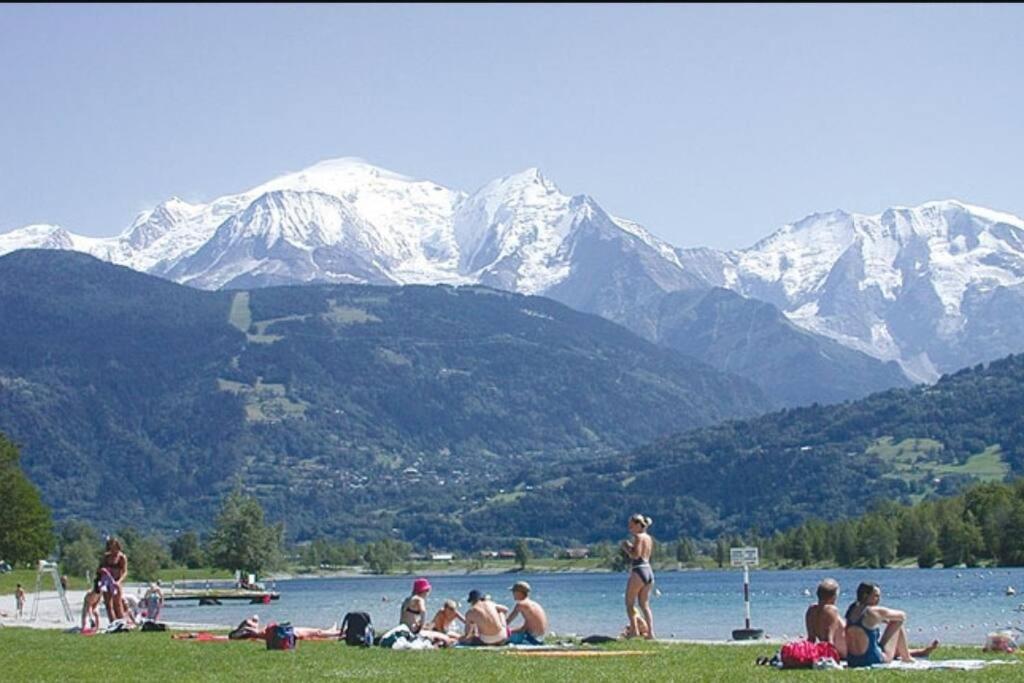 Super Appartement Cocooning Vu Mont Blanc Sallanches Esterno foto